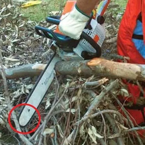 thumbnail for publication: Cleaning Up After a Hurricane: Safety Comes First!